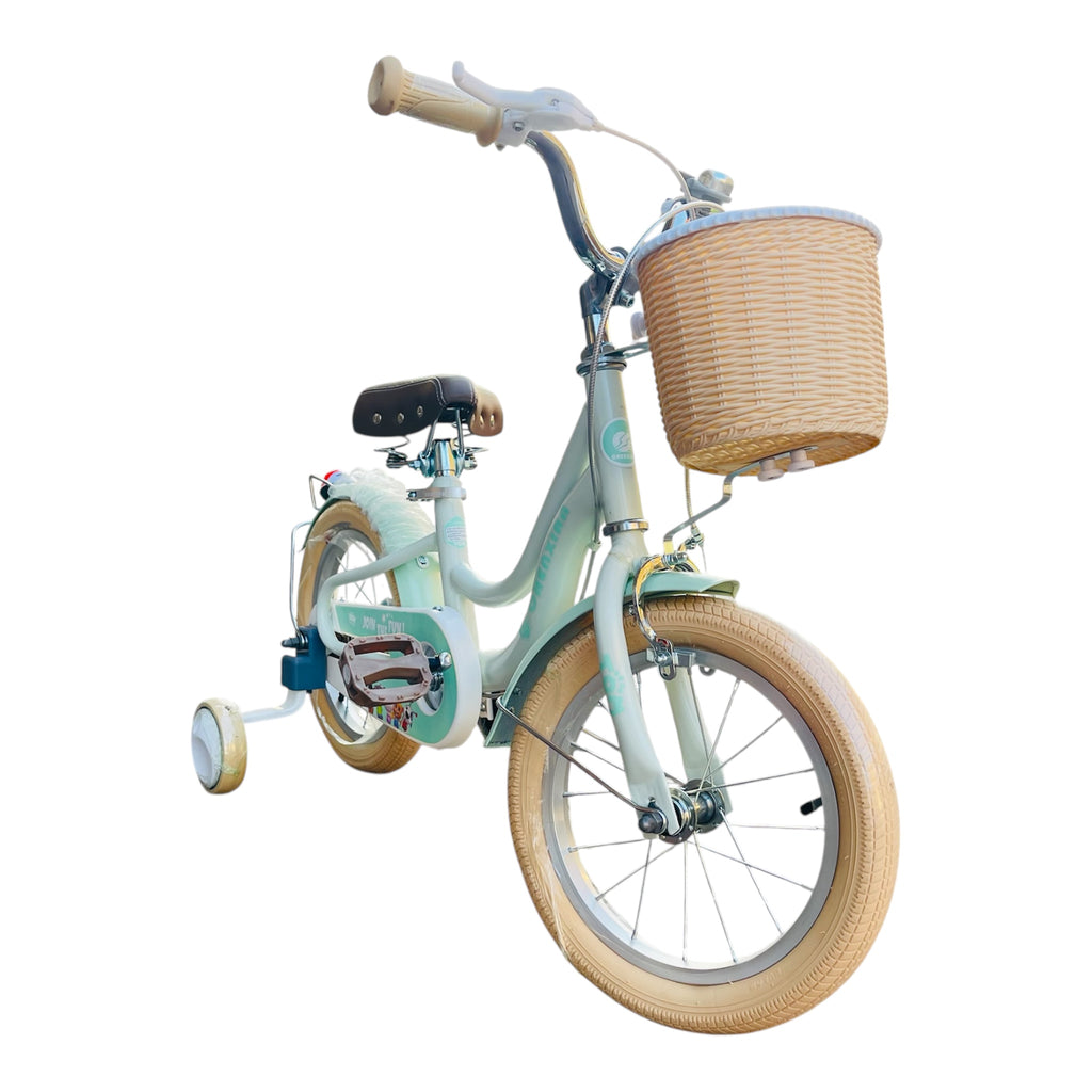 Baby cycle